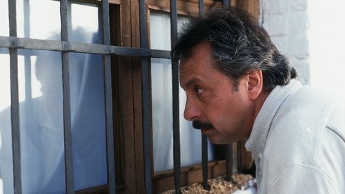 Épisode 7