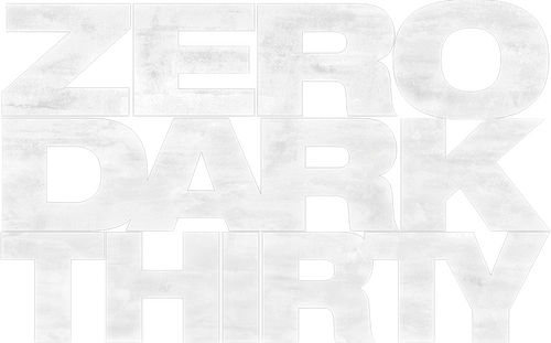 Zero Dark Thirty