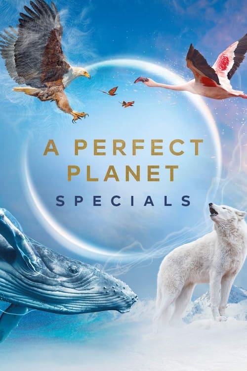 Where to stream A Perfect Planet Specials