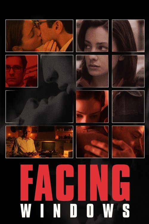 Largescale poster for Facing Windows