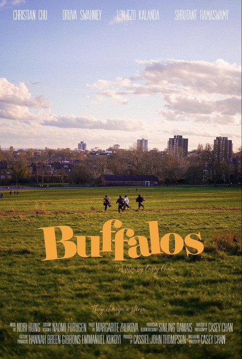 Buffalos - FİLM Afişi
