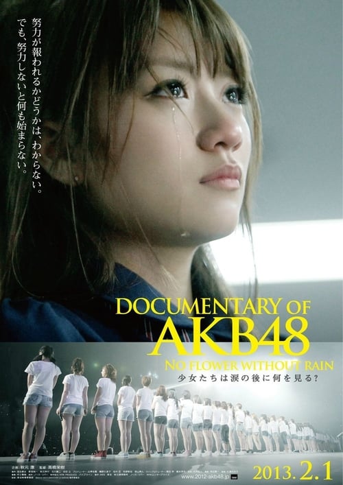 Poster DOCUMENTARY of AKB48 No flower without rain 少女たちは涙の後に何を見る？ 2013