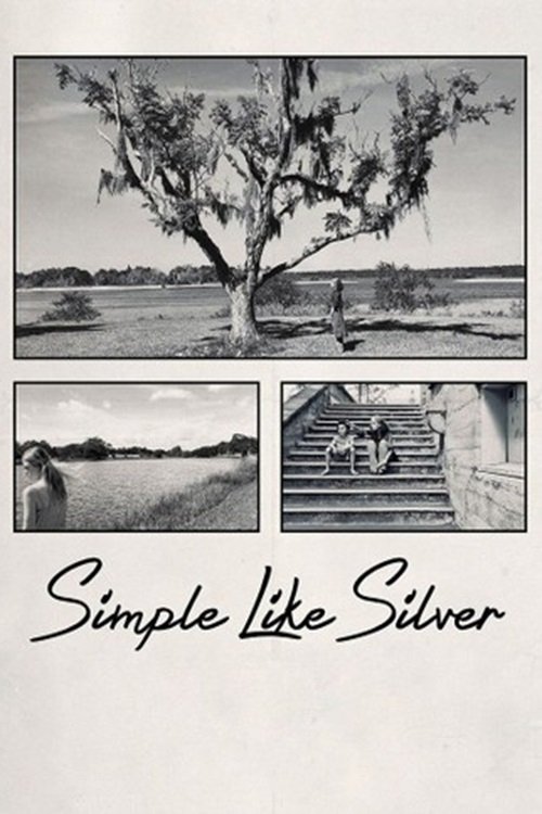 Poster 4