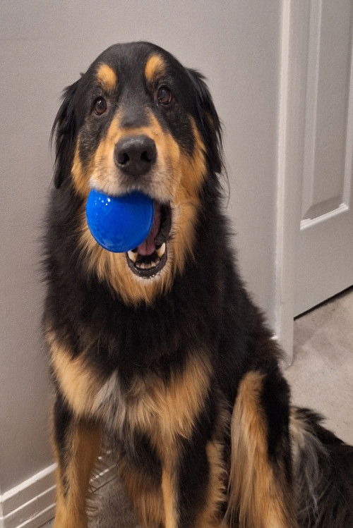 Foto de Kaos Barraclough