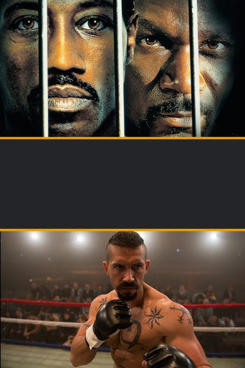 Pòster de Undisputed Collection