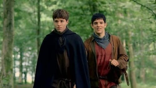 Merlin: 5×8