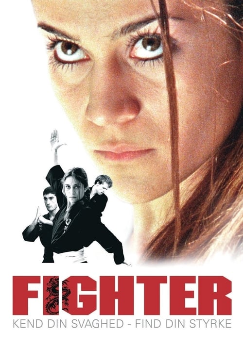 Fighter poster