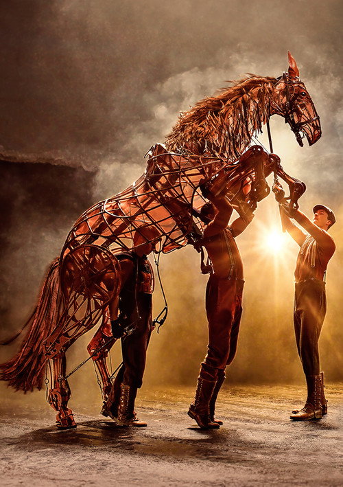 Affiche de National Theatre at Home: War Horse