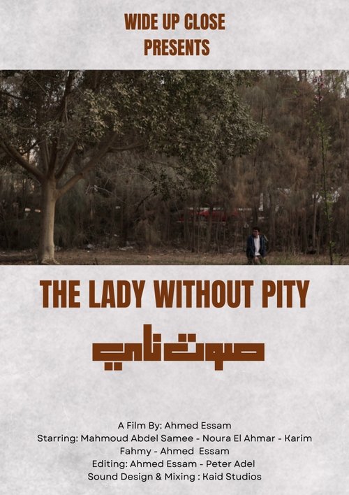 The Lady Without Pity (2025) poster