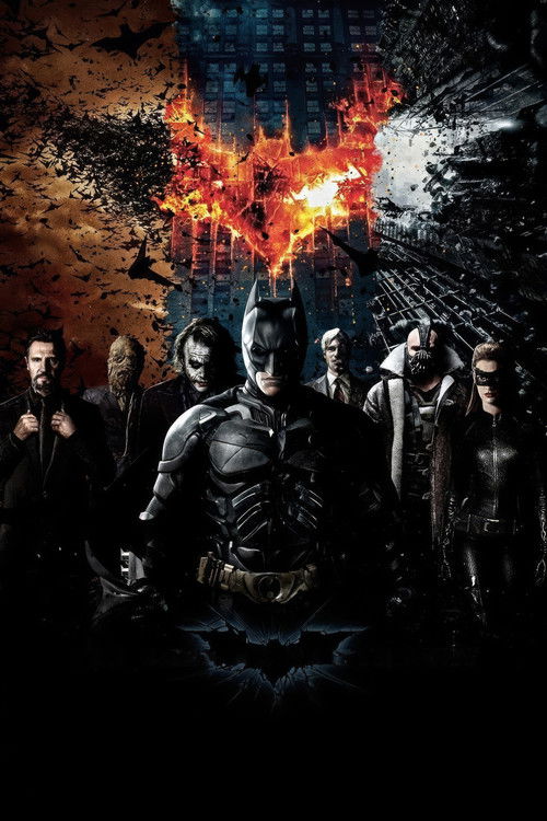 Pòster de El Cavaller Fosc - Col·lecció