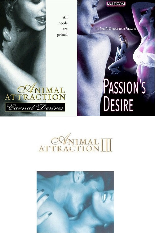 Pòster de Animal Attraction Collection