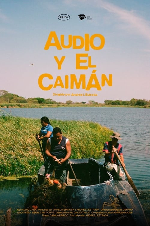 Poster Audio y el Caimán 2024