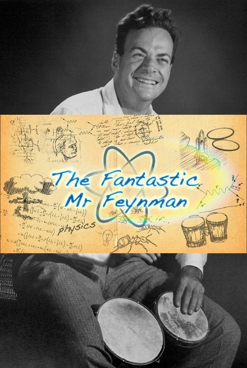The Fantastic Mr Feynman 2013