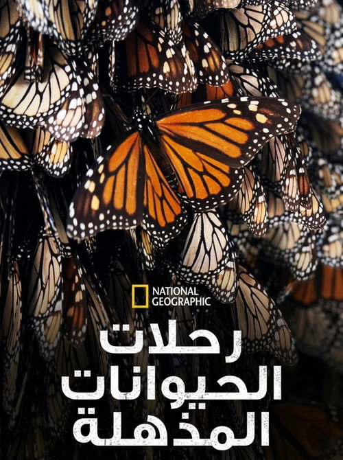 رحلات الحيوانات المذهلة - related title
