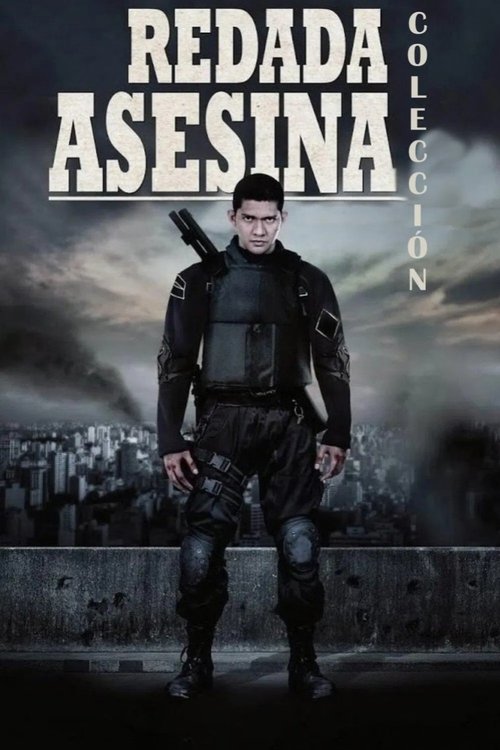 Pòster de The Raid Collection