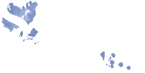 School Police