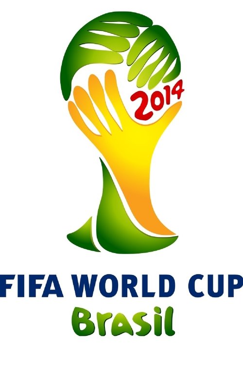 WM 2014 Viertelfinale Niederlande - Costa Rica