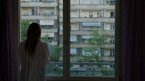 528 Freunde still