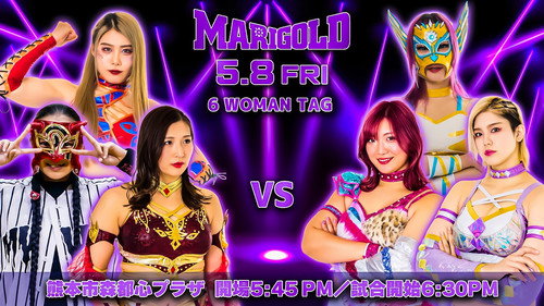 Marigold Shining Attack 2026 ~ Day 4