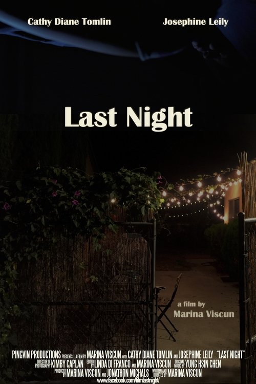 Last Night movie poster player