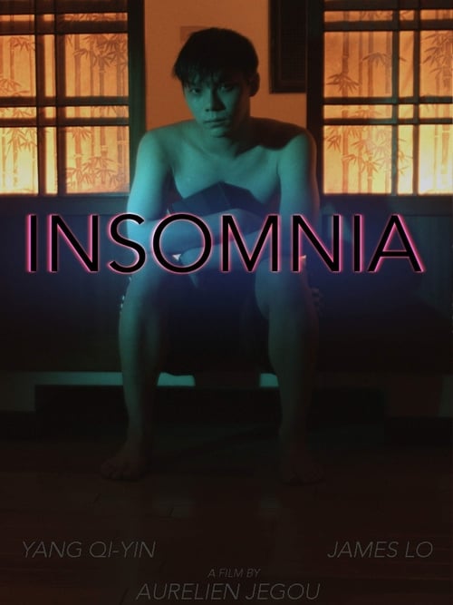 Insomnia Movie Poster Image