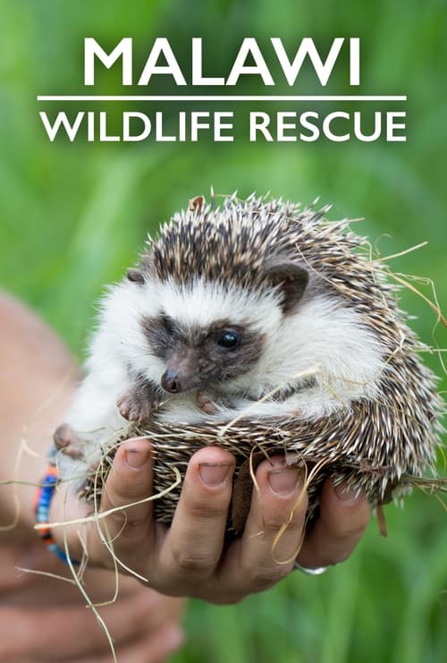 Malawi Wildlife Rescue