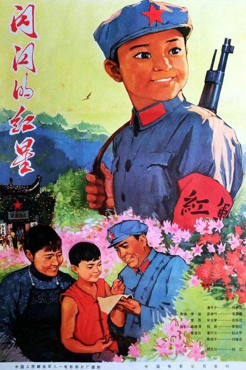 Shan shan de hong xing movie poster player