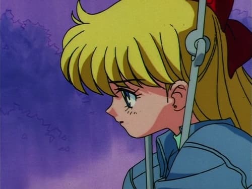 美少女戦士セーラームーン, S03E20 - (1994)