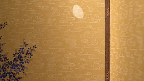 The Moon