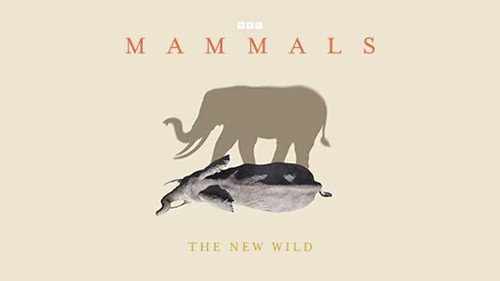 The New Wild