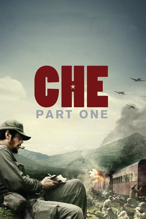 Grootschalige poster van Che: Deel Een