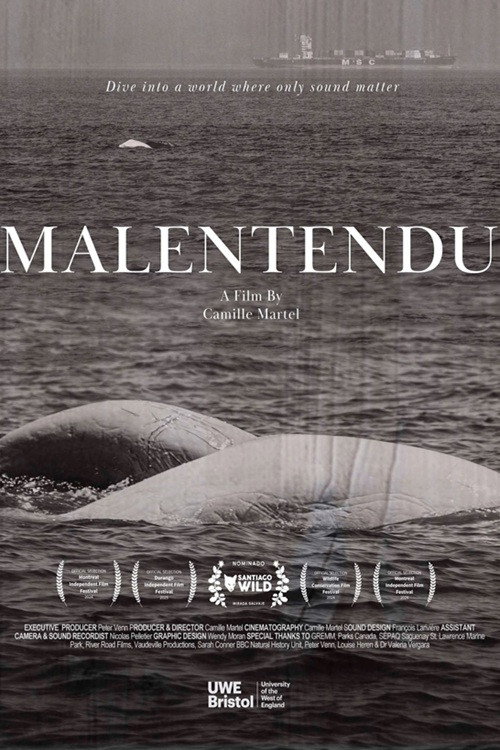 Malentendu