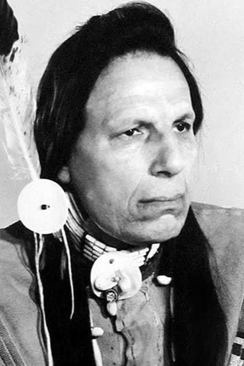 Grootschalige poster van Iron Eyes Cody