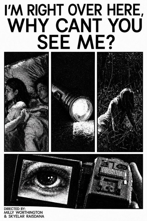 I'm Right Over Here, Why Can't You See Me?