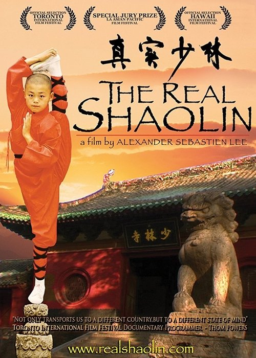 The Real Shaolin movie poster player
