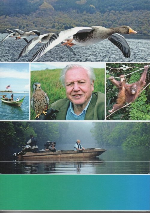 Attenborough: 60 Years in the Wild poster