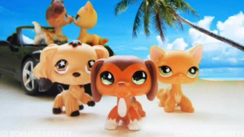 Littlest Pet Shop: Popular Soundtrack banner