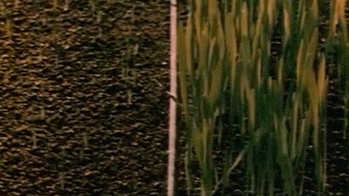 Image de l'épisode 312