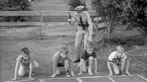 The Andy Griffith Show, S02E19 - (1962)