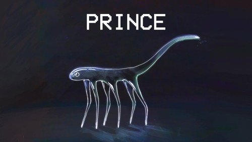 Prince Care Guide