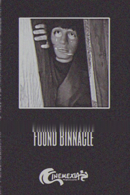 Found Binnacle