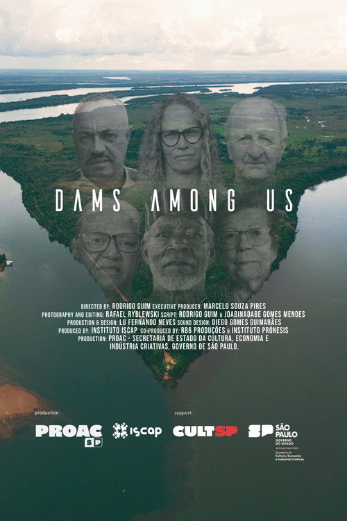 DAMS AMONG US poster