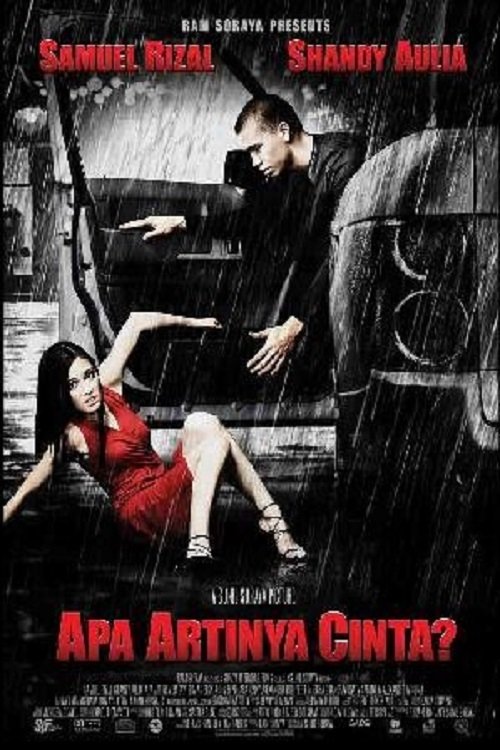Apa Artinya Cinta? movie poster player