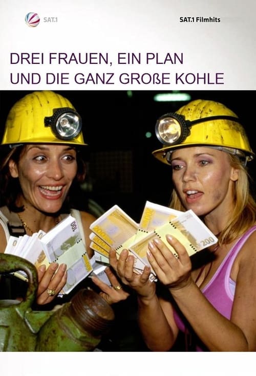 Drei Frauen, ein Plan und die ganz große Kohle (2002)