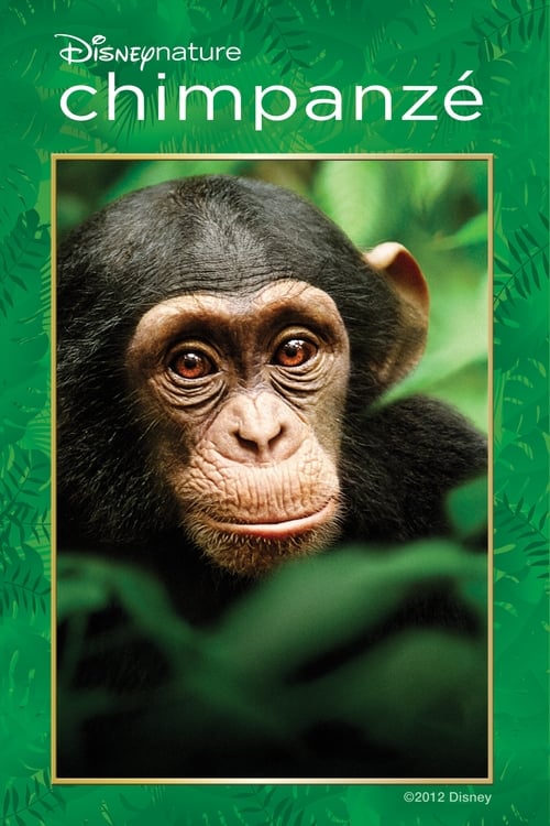 Poster do filme Chimpanzé