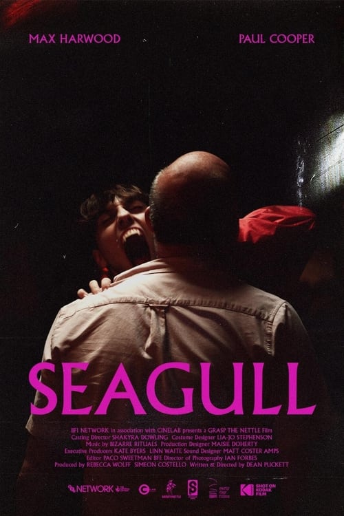 Seagull Download Movie