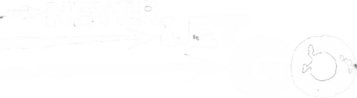 Never Let Go