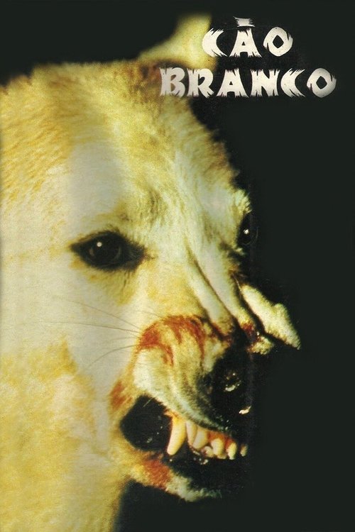 O Cão Branco movie poster player