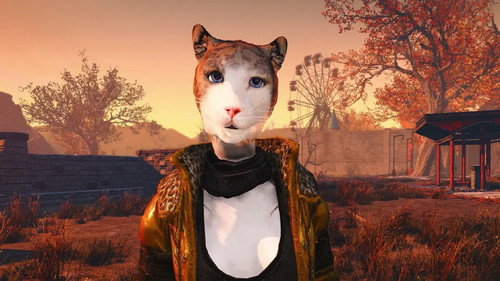 猫咪本喵 Backdrop Blur
