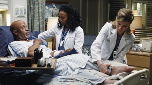 Grey's Anatomy - Season 10 - Episode 10: Somebody That I Used to Know